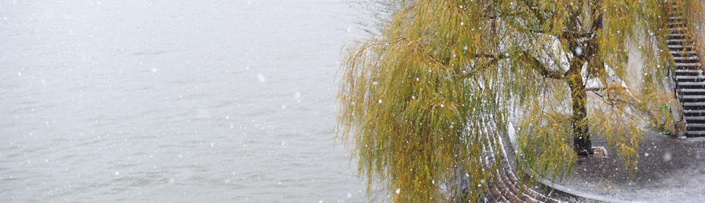 AARE